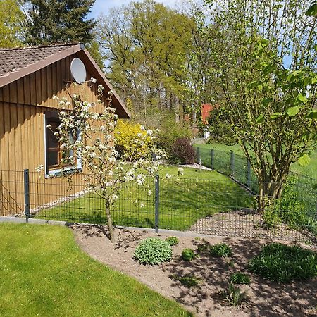 Studioferienhaus Herzogstadt-Celle Eksteriør billede