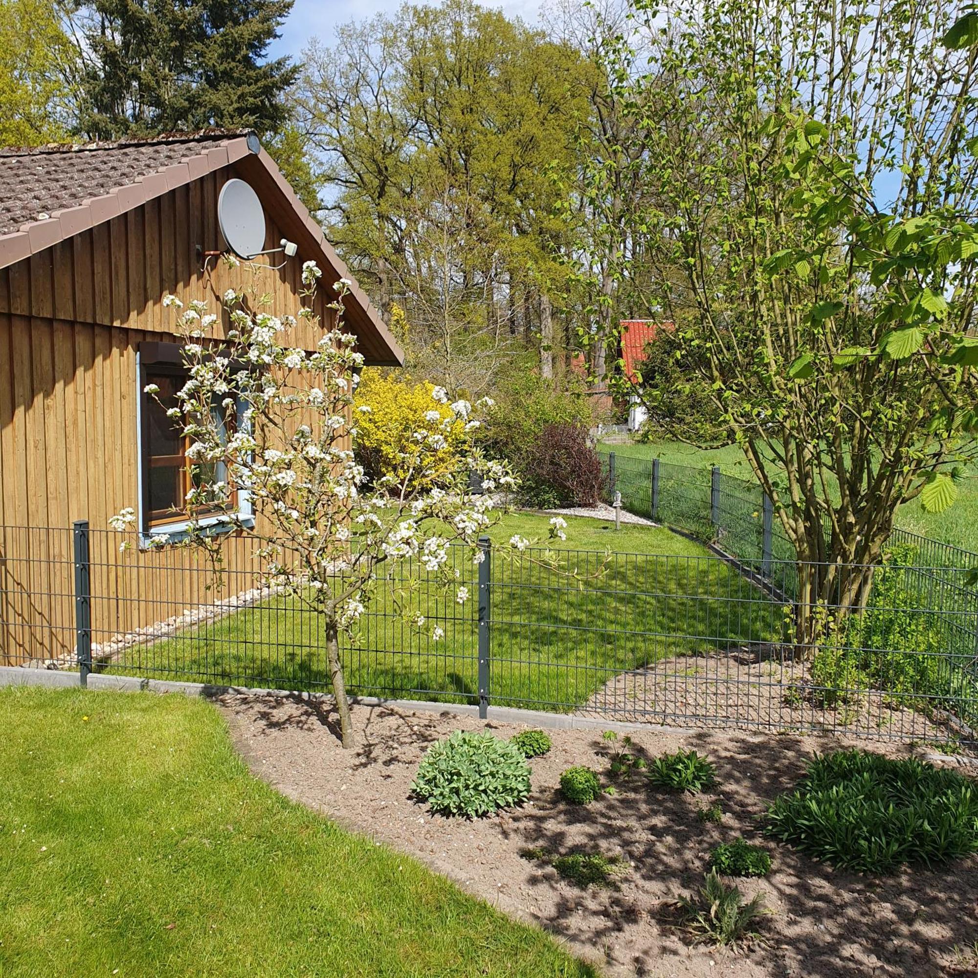 Studioferienhaus Herzogstadt-Celle Eksteriør billede