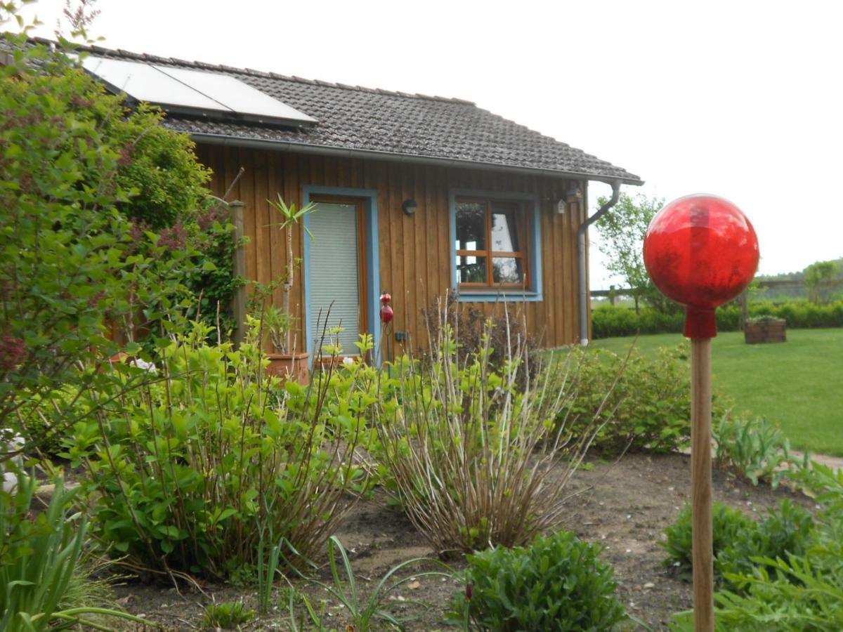 Studioferienhaus Herzogstadt-Celle Eksteriør billede