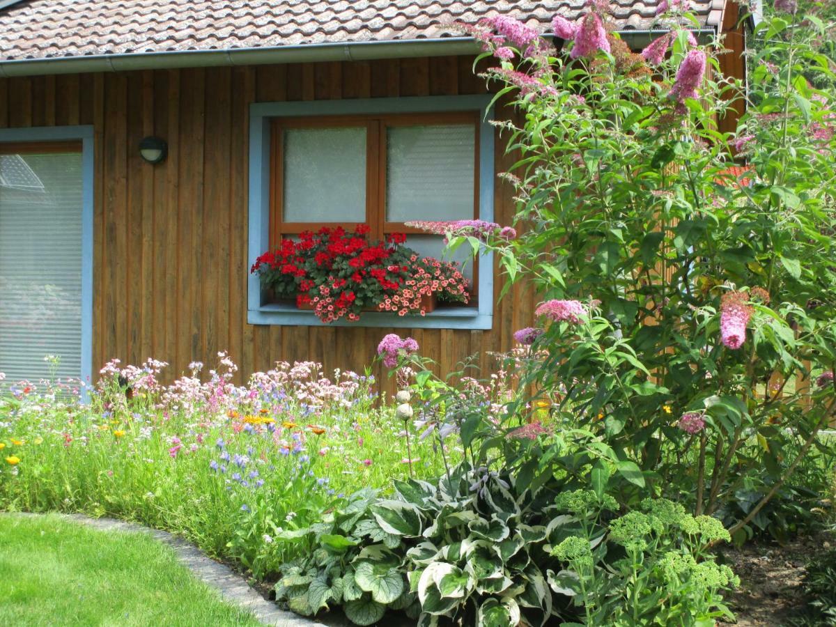 Studioferienhaus Herzogstadt-Celle Eksteriør billede